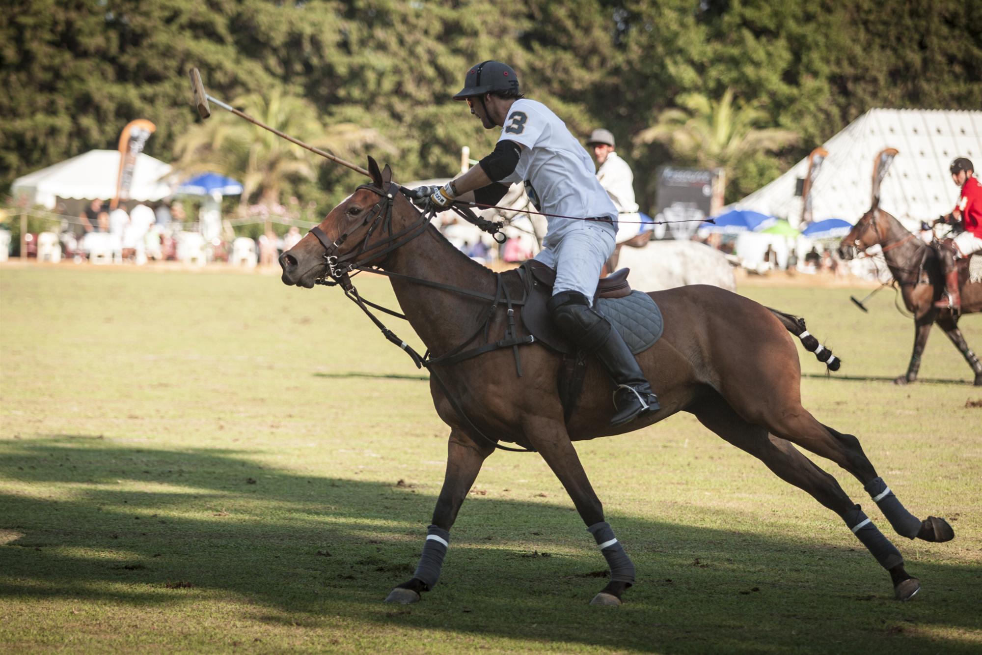 Matchs - BMW Polo Masters  Night St Tropez-Gassin 2013 - Morgane Delfosse - 26-10-13.48