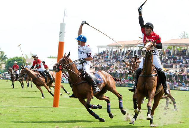 Inside Polo by Ron Allen
