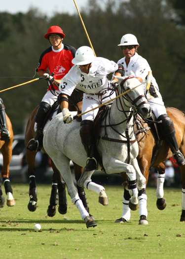 alex pacheco polo ph 3