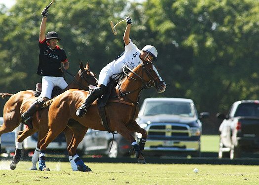 Photos-Zorzal vs. Mt. Brilliant