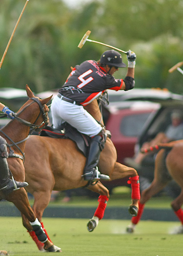 polo top polo tournament piaget gold cup polo teams polo usa polo club 5