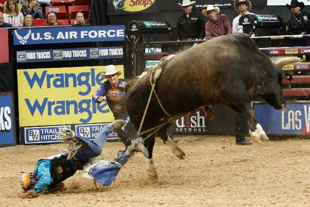 rabull