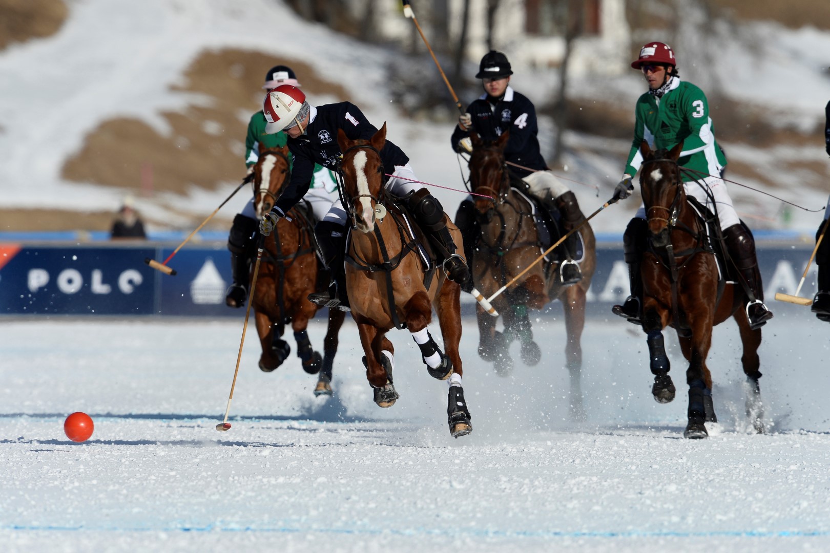 27 01 17-0631 31743991503 o